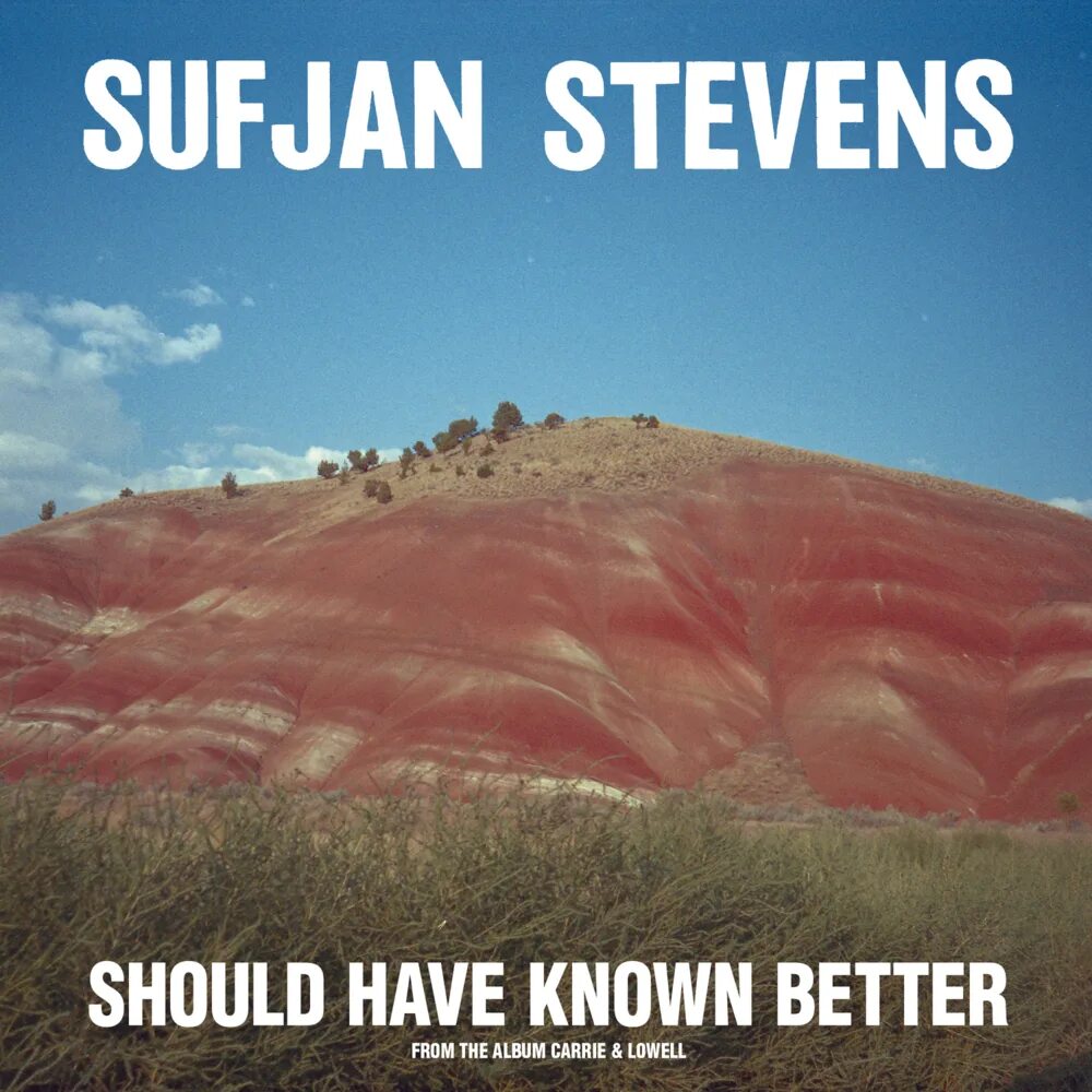 Get to know them better. Sufjan Stevens - should have known better. Sufjan Stevens обложка альбома. Sufjan Stevens обложка трека. Should have known.