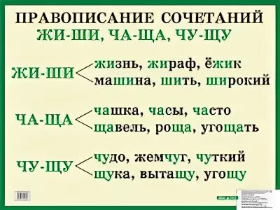 Слова на жи-ши ча-ща Чу-ЩУ. Слова с орфограммой жи ши. Жи ши Чу ЩУ текст. Орфограмма Чу ЩУ.