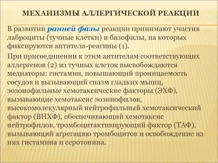 Поздняя аллергическая реакция