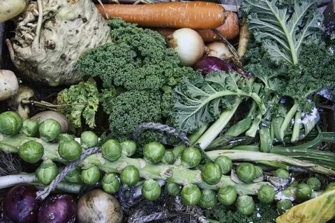Ground vegetables