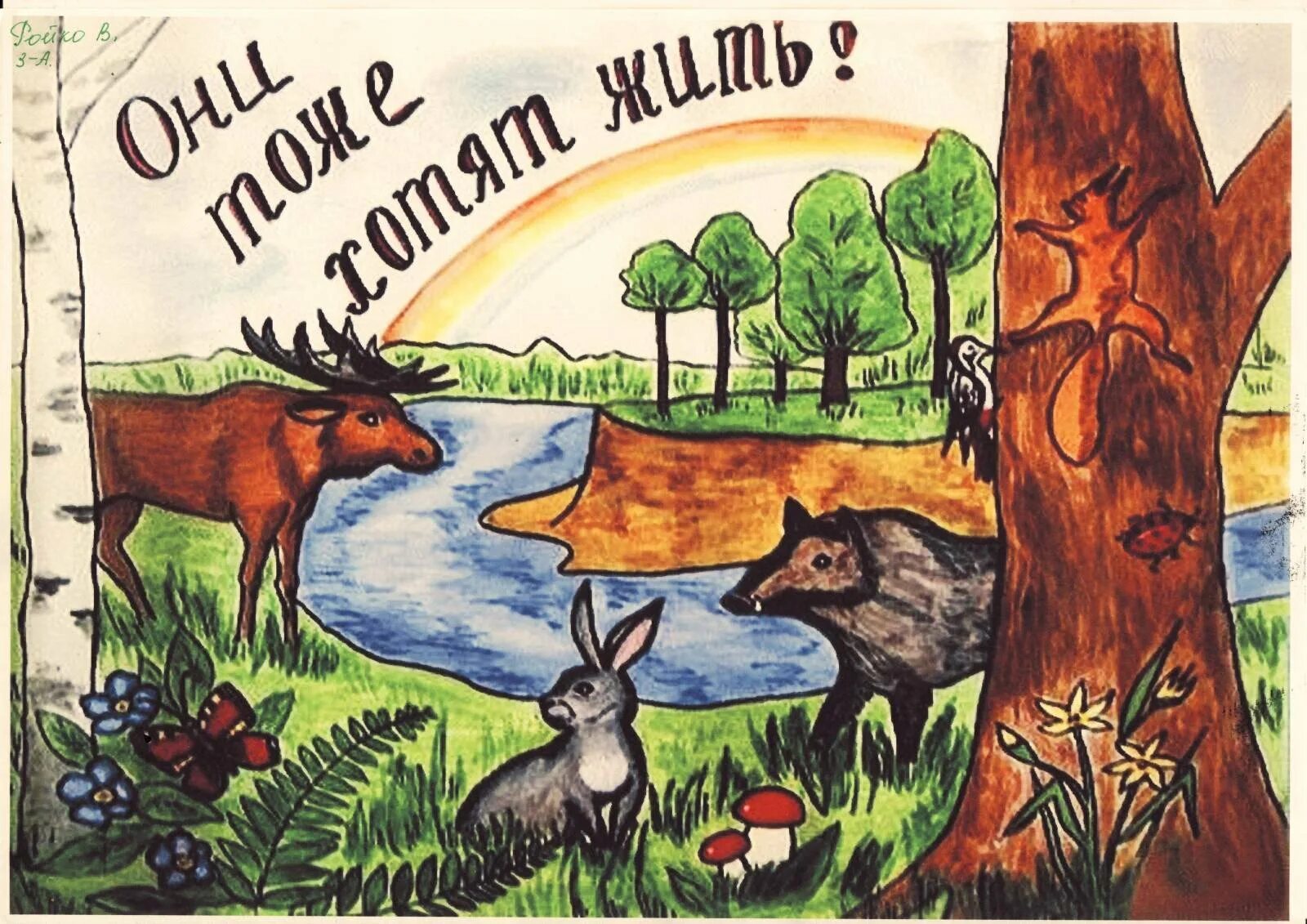 Бережное отношение человека к животным 3 класс. Плакат по защите природы. Рисунок на тему экология. Плакат охрана природы. Рисунок на тему защита природы.