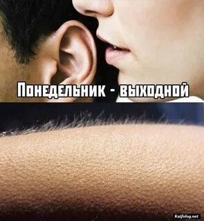 Будет ли в понедельник выходной