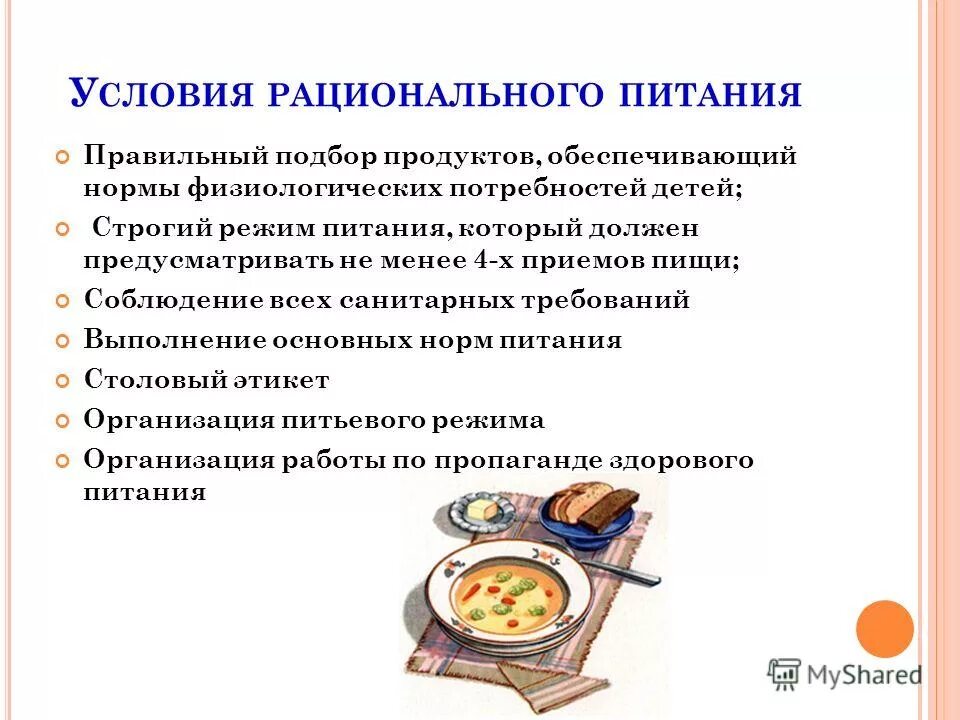 Какой прием пищи не предусматривает горячего напитка. Условия организации рационального питания. Рациональное питание детей дошкольного возраста. Условия рационального питания дошкольников. Режим питания для детей дошкольного возраста