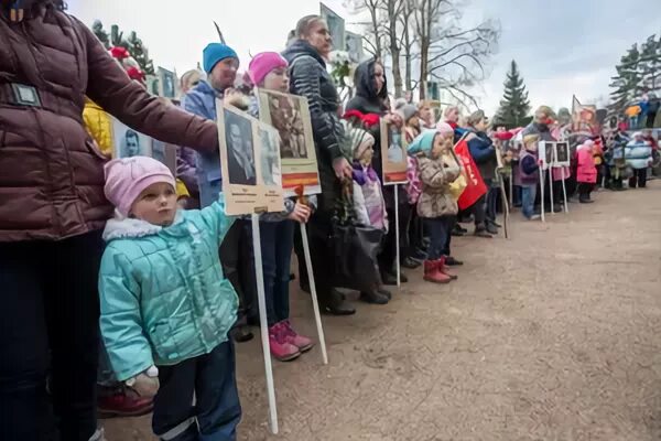 Зеленогорский городской сайт