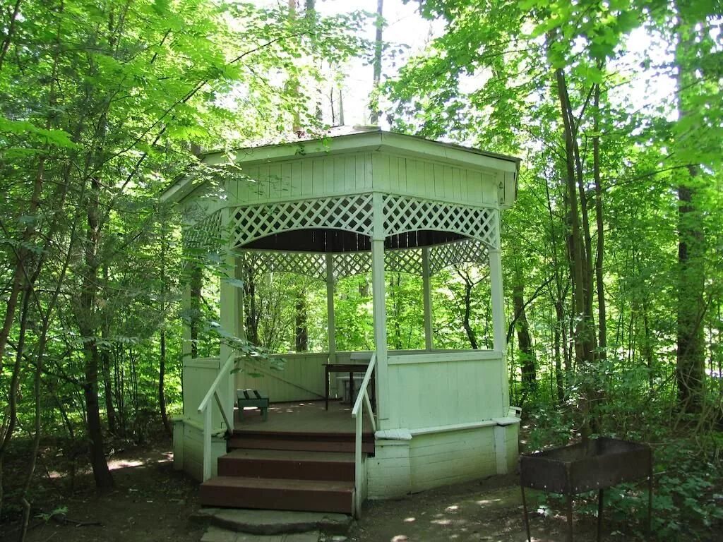 дом писателей в переделкино парк. энгельса, 37. дск мичуринец ул погодина 4. дск мичуринец внуковское поселение. посёлок дск мичуринец.