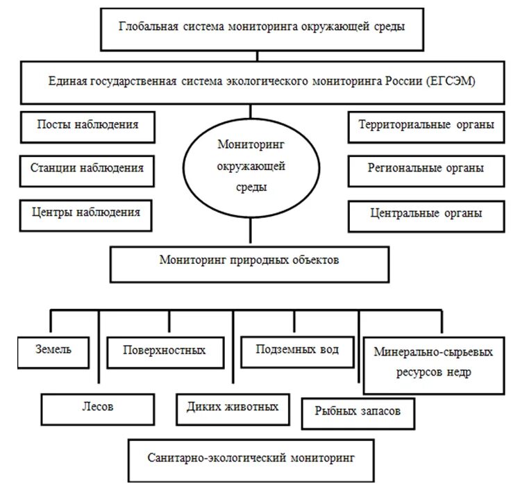 Система экологического мониторинга схема. Блок схема системы экологического мониторинга. Единая государственная система экологического мониторинга (ЕГСЭМ). Цели Единой государственной системы экологического мониторинга. Государственные учреждения экологии