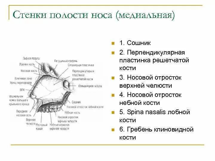 Сообщения полостей
