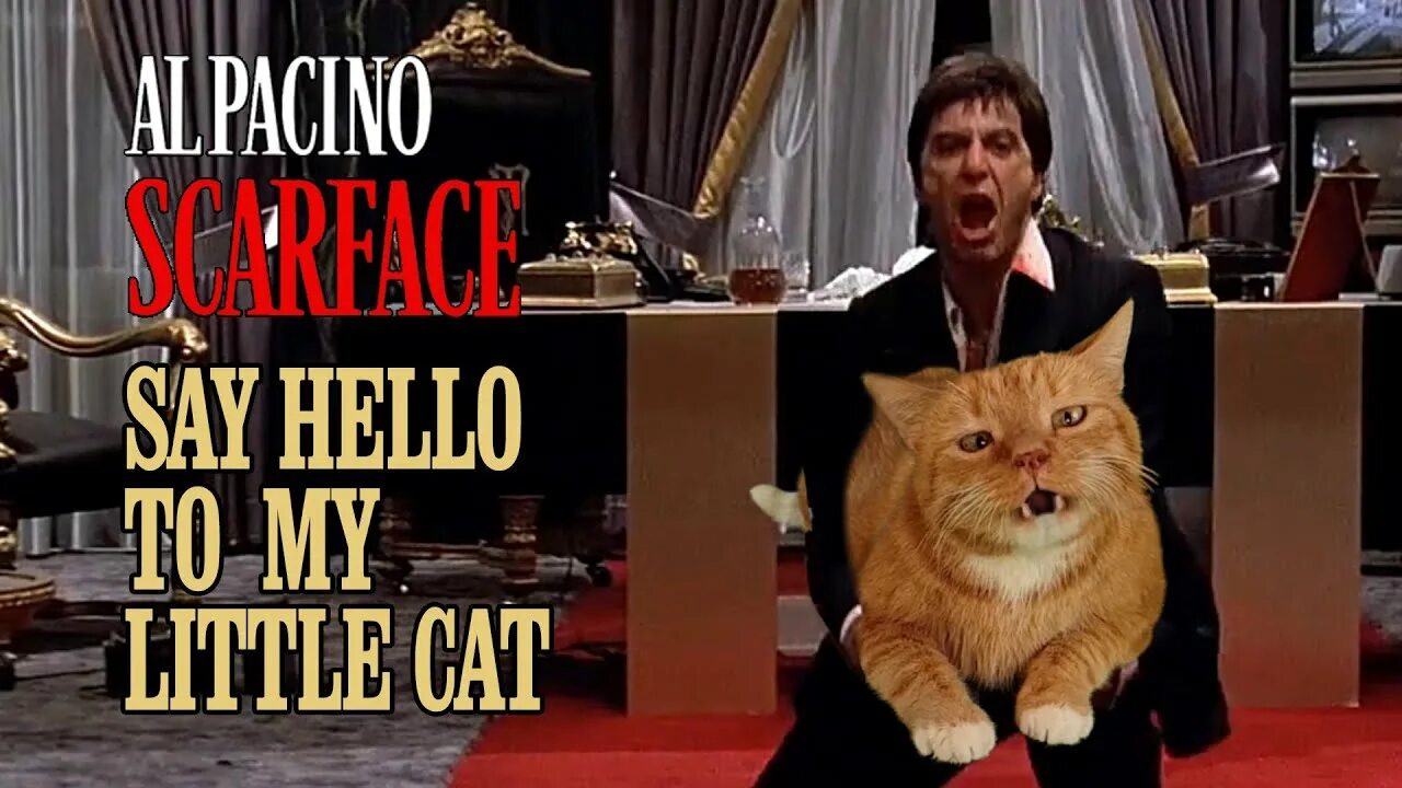 Say hello to my. Scarface say hello to my little friend.