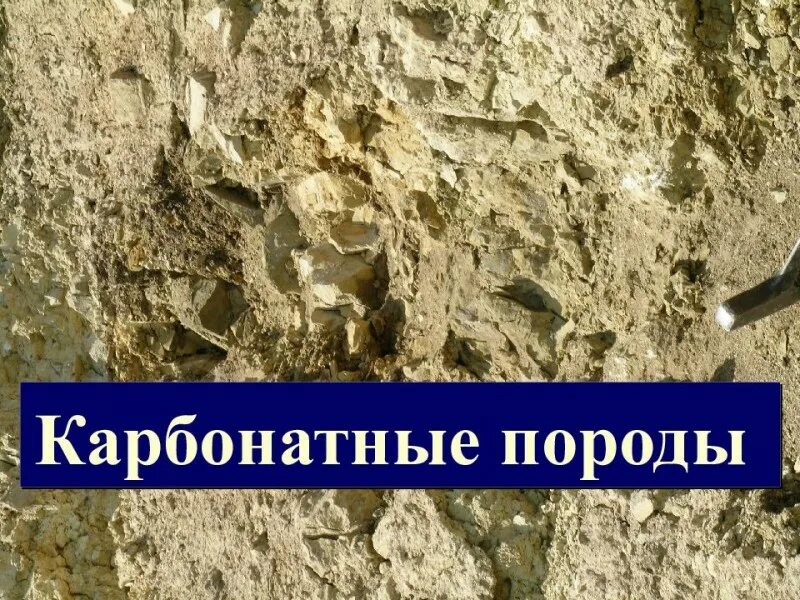 Карбонатные породы. Карбонатные горные породы. Карбонатные осадочные породы. Текстура карбонатных пород. Породы литературы