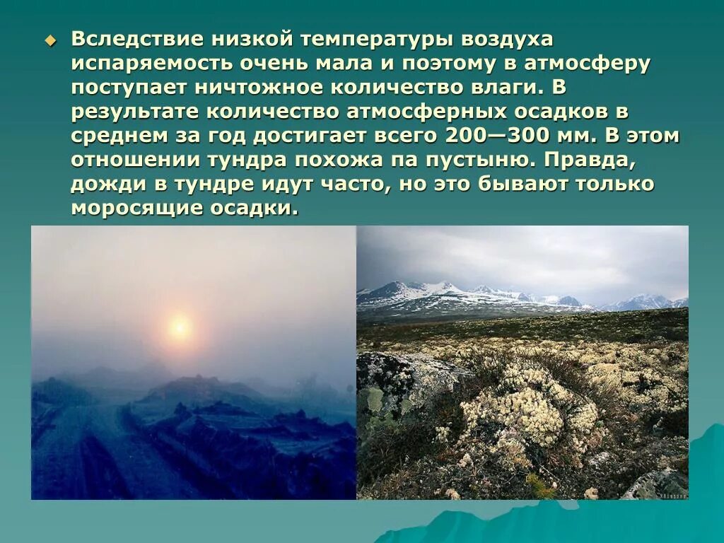 Испаряемость в тундре. Испаряемость в тундре России. Осадки в тундре. Кол во осадков в тундре. Тундра осадки мм