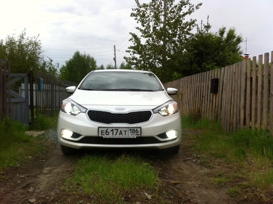 Ксенон Киа Церато 3. Туманки кия Церато 3. Киа Серато 2014 ксенон. Kia Cerato 3 yd лампы.