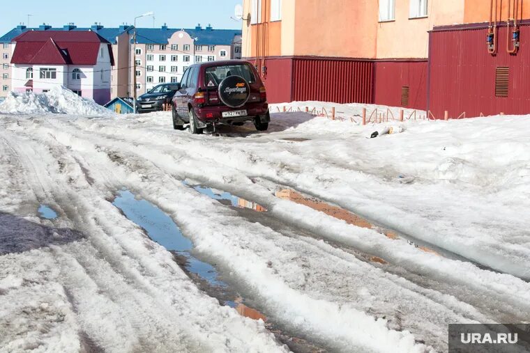 Снег в новом уренгое. Снежный покров салехард. Ямальская тундра. Первый снег в тундре. Сугробы на ямале.