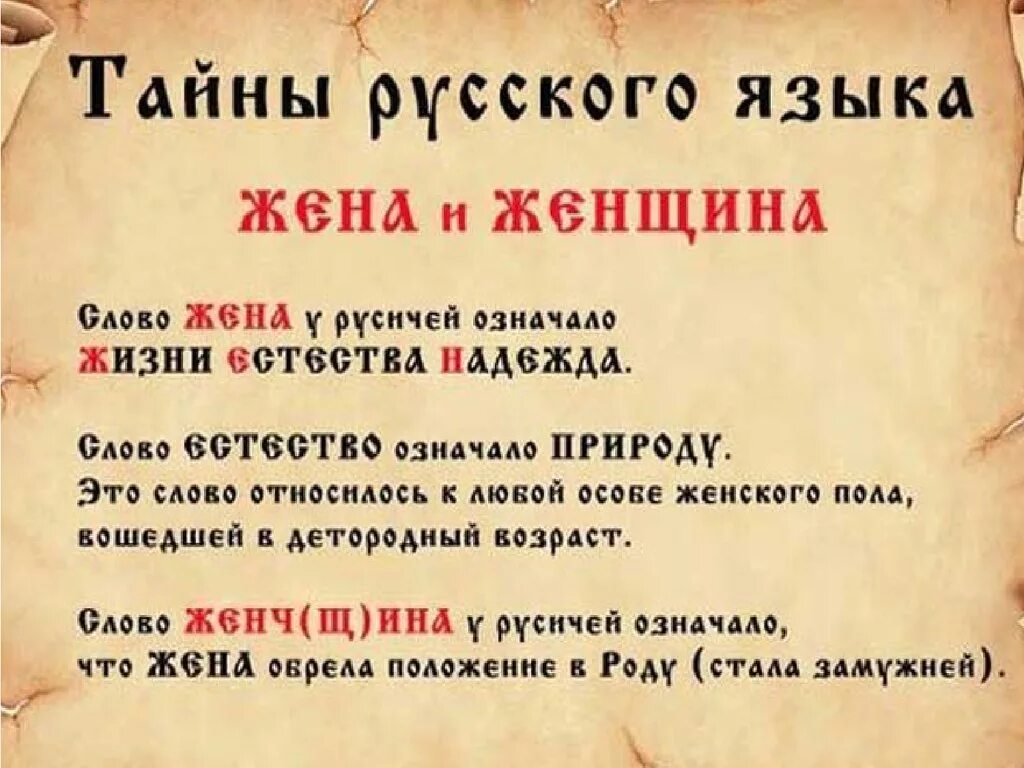 Что означает слово жил. Тайны русского языка. Тайны русского языка в картинках. Секреты русского языка. Тайны русского языка муж.