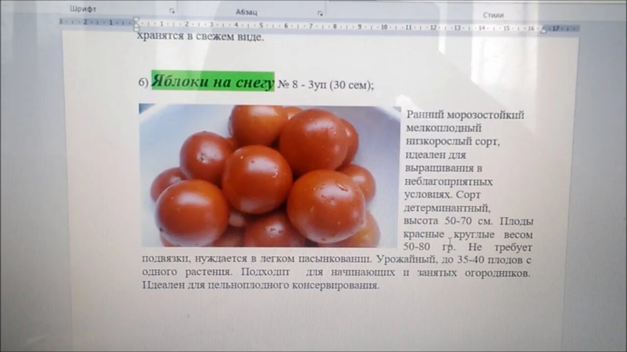 Томат яблоки на снегу. Сорт яблоки на снегу томаты. Семена томат яблоки на снегу. Помидоры сорт яблоки на снегу.