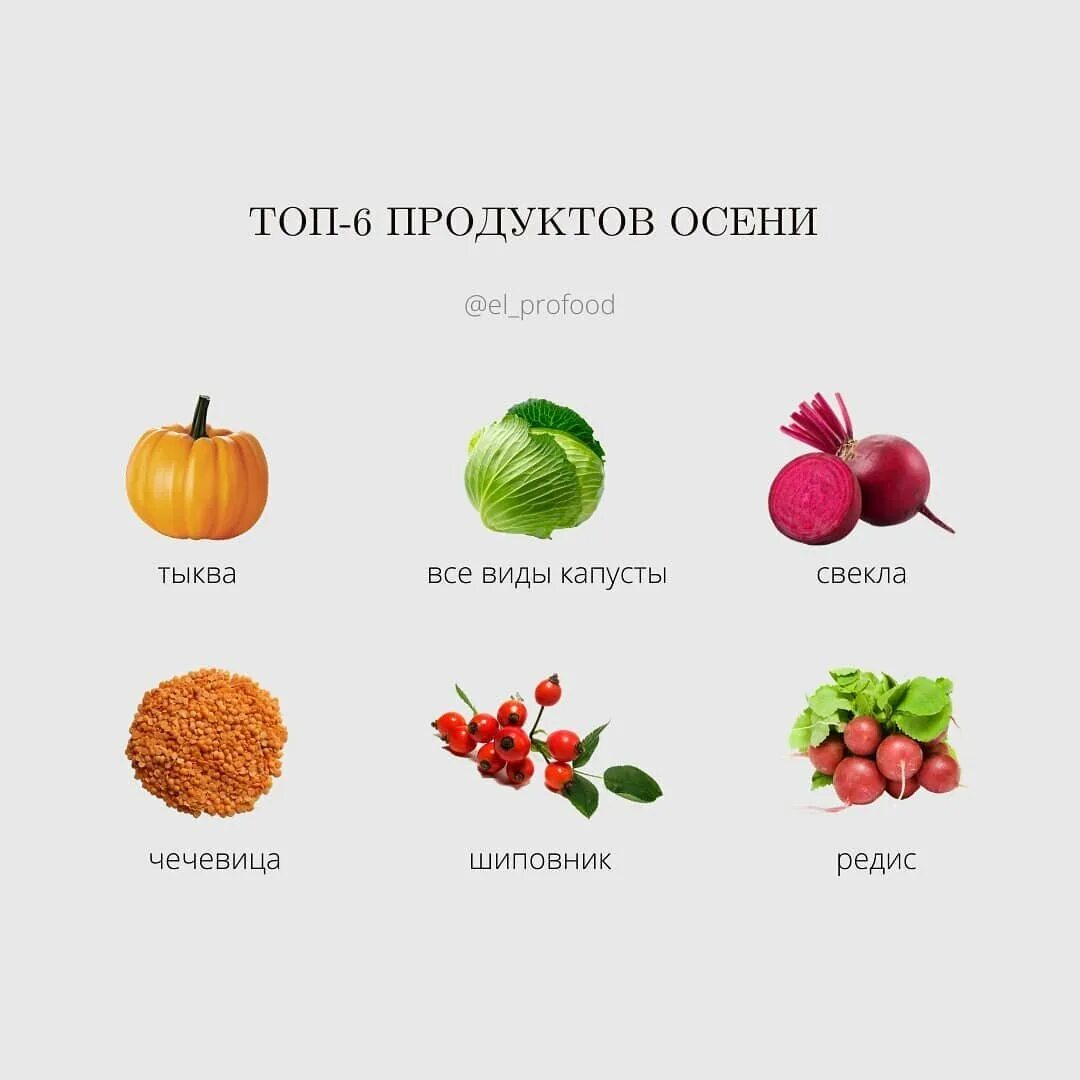 Сезонность продуктов. Осенние сезонные продукты. Сезонные овощи. Сезонные фрукты. Сезонные фрукты и овощи осенью.