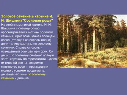 Сочинение по картине сосновый