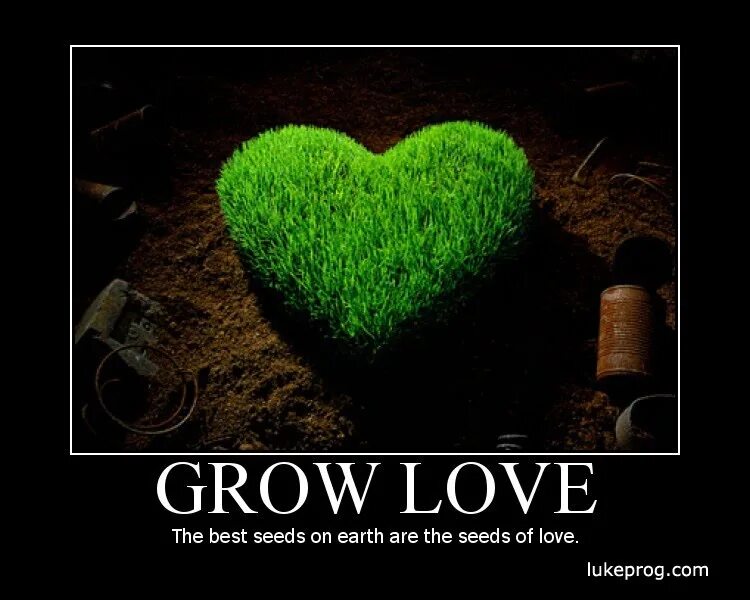 Вырасти свою любовь. Семена любви. Любовь растет. Воспитываю с любовью. Любовь это выросли.