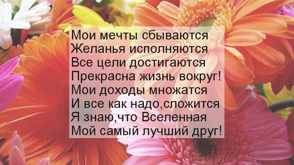 Пусть будут планы