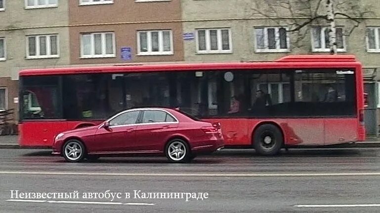 Красный автобус Калининград. Автобусная экскурсия по Калининграду красный автобус. Покажи красные автобусы. Красные автобусы в Харькове.