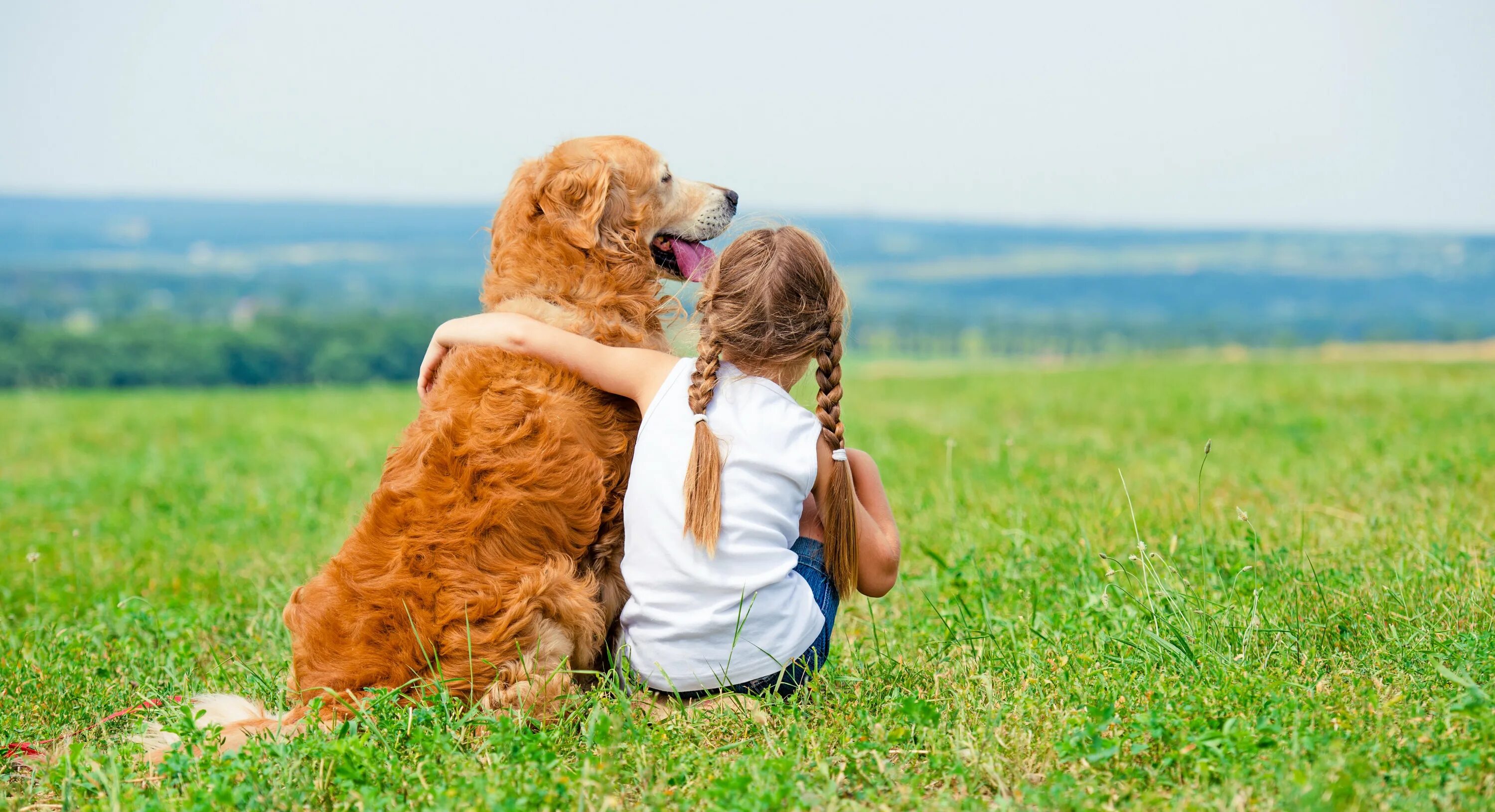 Собака любит девочка. Ребенок с животным. Собака для детей. Для детей. Животные. Животные друзья человека.