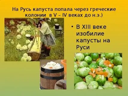 Урожай основная мысль