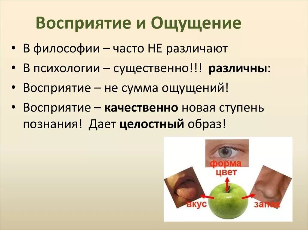 Ощущение и восприятие. Ощущение и восприятие в психологии. Чувства, ощущения, восприятие – это. Ощущение и восприятие в философии. Ощущается разница