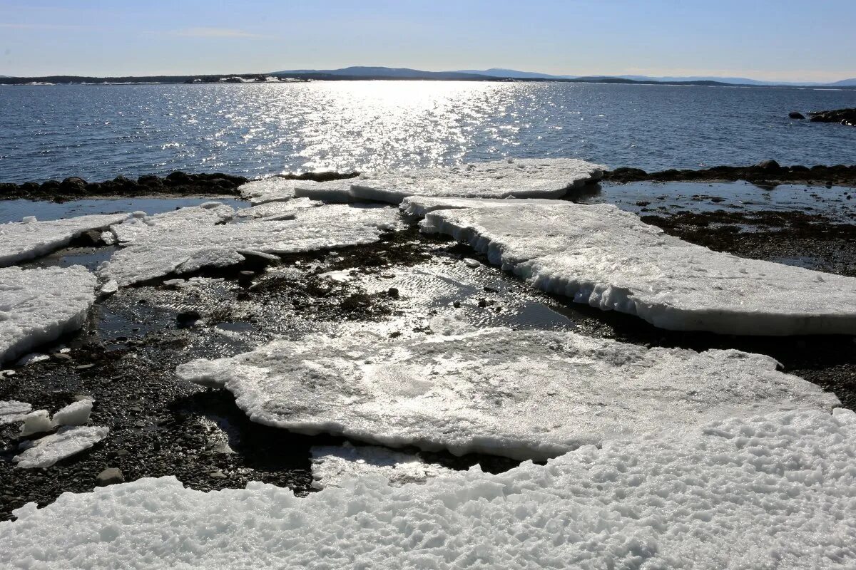 Белое море зимой. Северодвинск берег белого моря. Море в апреле. Белое море карелия. Состояние белого моря зимой.