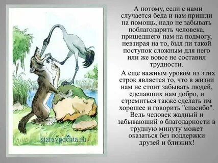 Краткий пересказ басни квартет