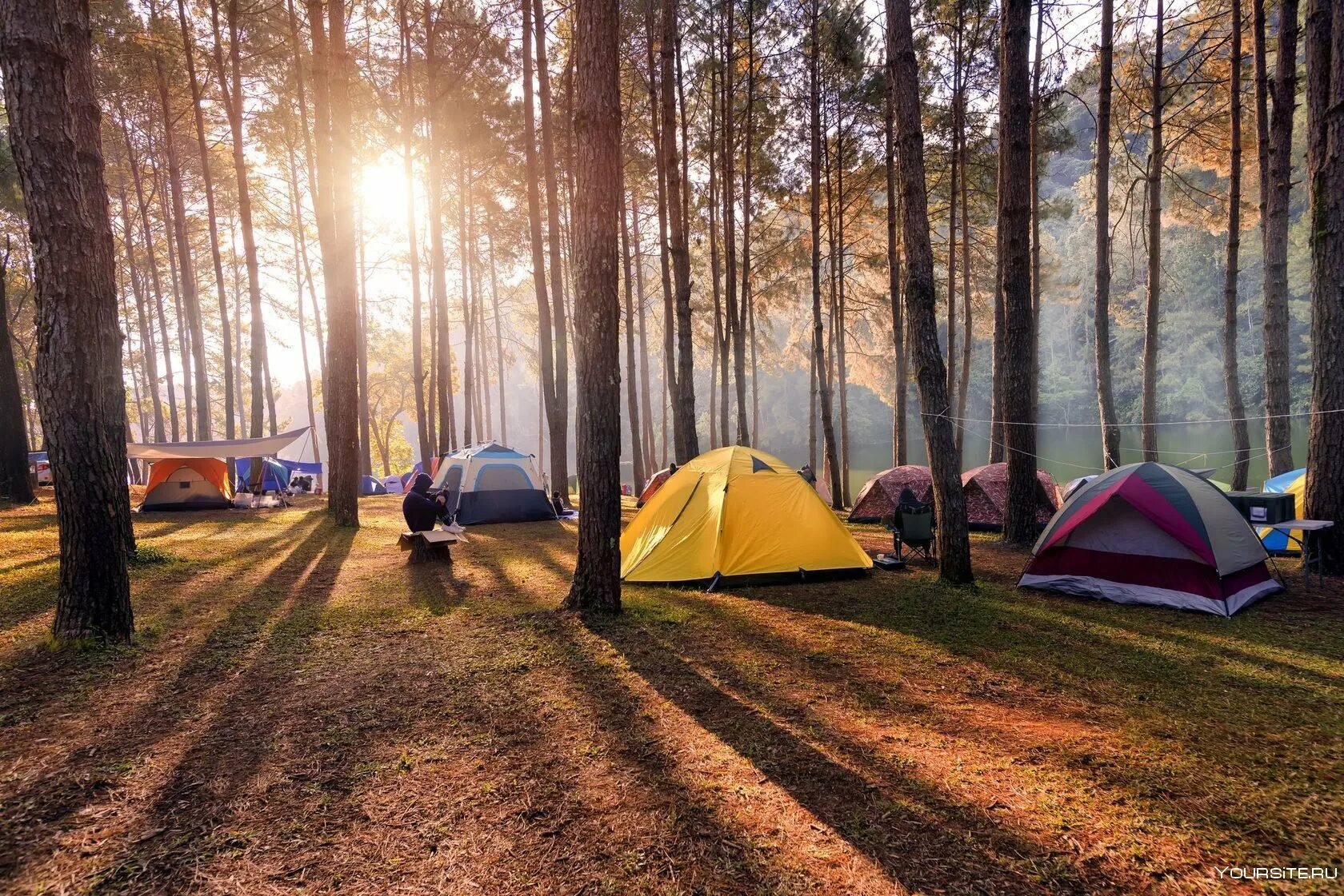 Camping space