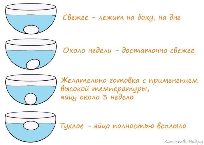 Тухлое ли яйцо. Определить свежесть яиц в воде. Как проверить яйца на свежесть в домашних условиях в воде. Проверка яиц на свежесть в воде домашних условиях. Как определить свежее яйцо.