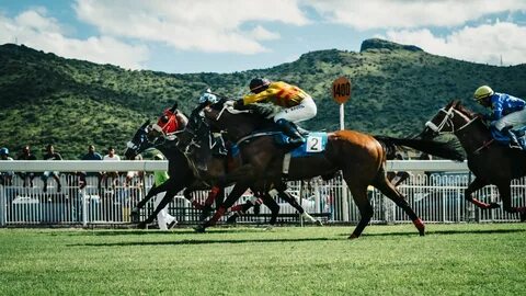 Horse race betting