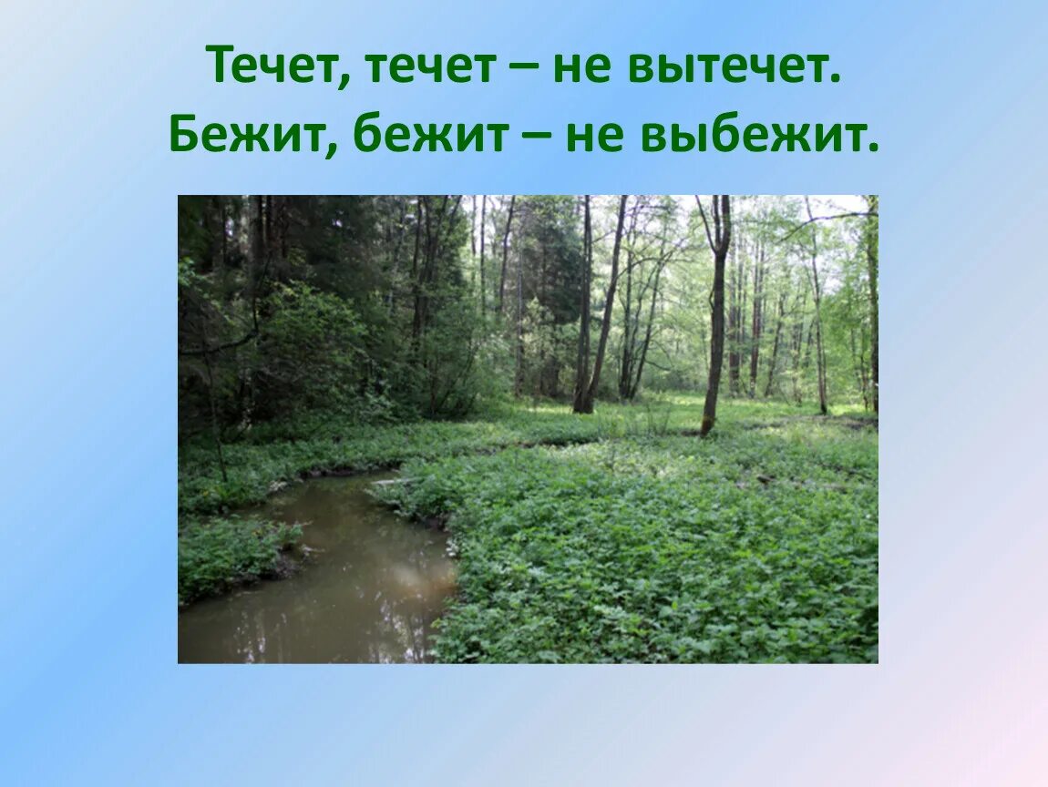 Ведь жизнь бежит течет. Течёт течёт не вытечет бежит бежит не. Бежит бежит не выбежит. Течёт течёт не вытечет бежит бежит отгадка. Течет а не вытечет бежит не выбежит.