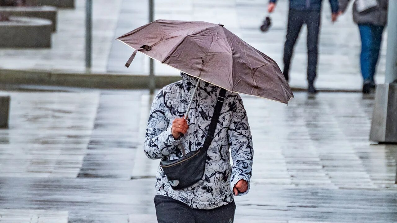 Маленький дождь. Сегодня будет идти дождь. Сегодня будет идти дождь. Дождь в грозном. Дождь летом новосибирск.