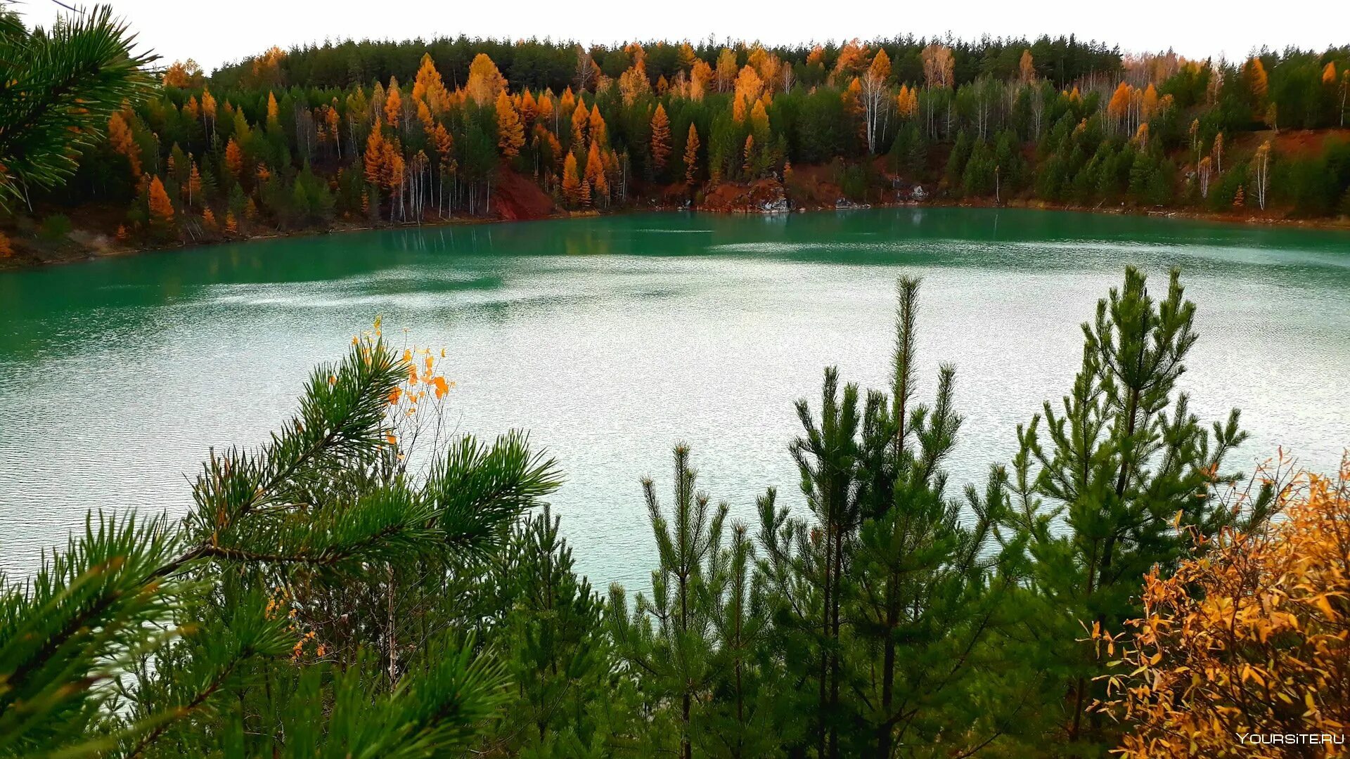 Карьеру режа