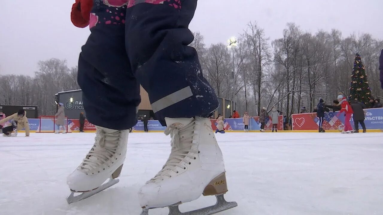 Каток люберцы наташинский. Каток Наташинские пруды. Каток Люберецкий парк. Наташинские пруды роллердром каток. Каток в Наташинском парке Люберцы.