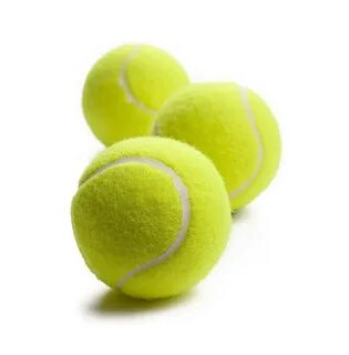 Pet tennis