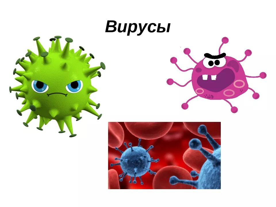 Тема бактерии и вирусы 5 класс. Вирусы биология. Вирусы по биологии. Вирусы и бактерии для детей. Вирусы бактерии микробы.