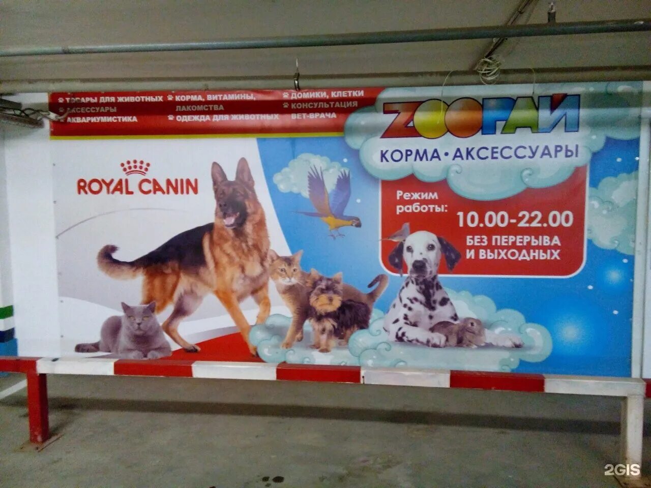 Лямуррр интернет магазин для животных. Тюмень московский тракт 118 зоорай. лямуррр интернет магазин для животных тюмень. зоорай тюмень директор. зоорай график работы.