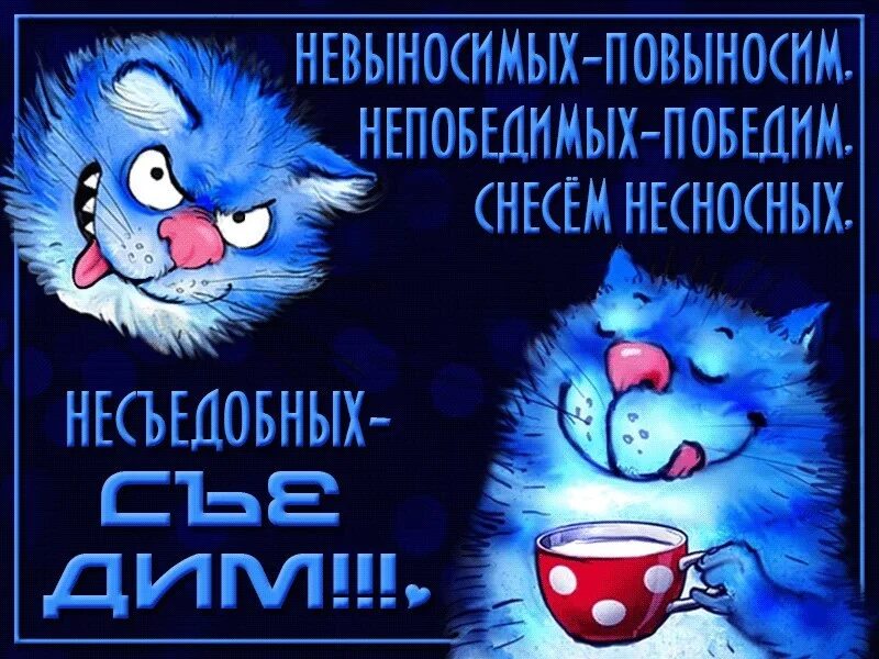 Просто отмечай день. Синий кот. Синий кот спокойной ночи. Спокойной ночи с синими котами. Синие коты спокойной ночи.