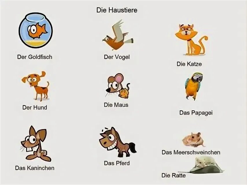 Der на английском