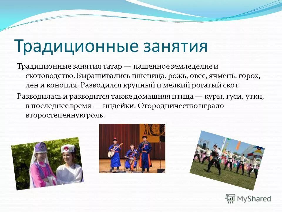 Монголо татары скотоводство. Традиционные занятия татар. Занятия татар животноводство. Занятия татар. Занятия татарского народа.