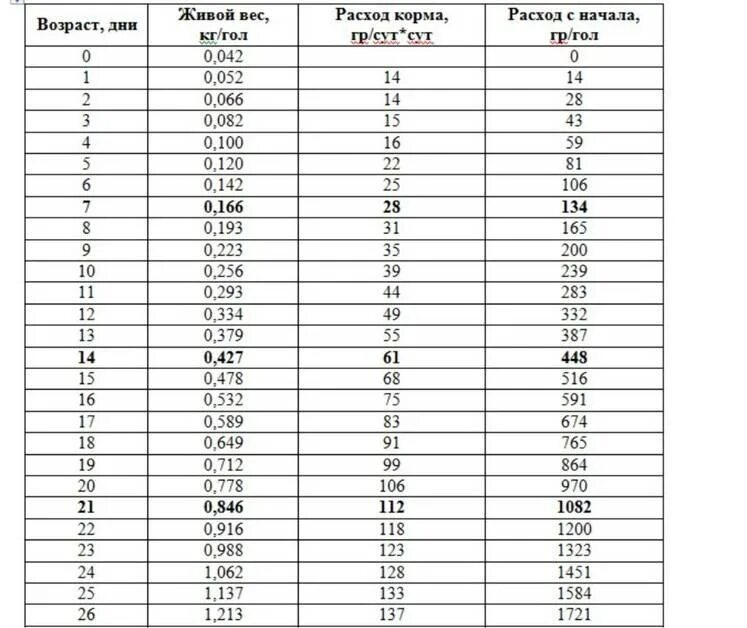 Бройлеры росс вес по дням