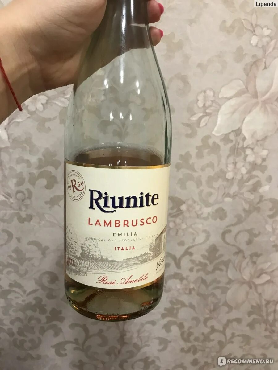Шампанское riunite Lambrusco. Вино игристое Ламбруско riunite розовое. Вино Риуните Ламбруско Розе. Вино розовое полусладкое riunite. Riunite lambrusco
