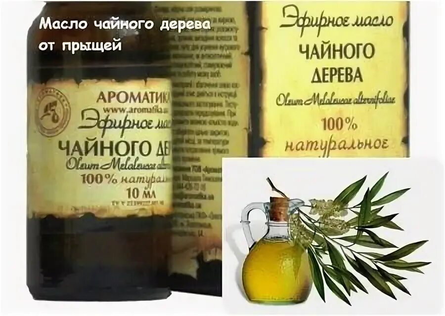Масло чайного дерева от прыщей на лице. Масло чайного дерева для прыщей. масло чайного дерева для лица от прыщей. чайное дерево от прыщей.