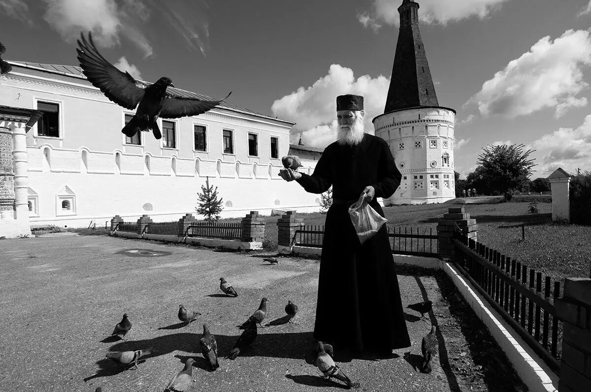 Православные добрые дела. Храм и птицы. Птицы над храмом.