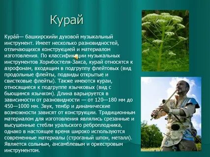 Курай это
