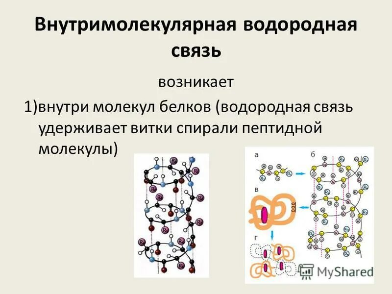 Белково водородные связи. Типы химических связей межмолекулярные. Межмолекулярная и внутримолекулярная водородная связь. Внутримолекулярные связи в белках. Типы внутримолекулярных связей в белках.