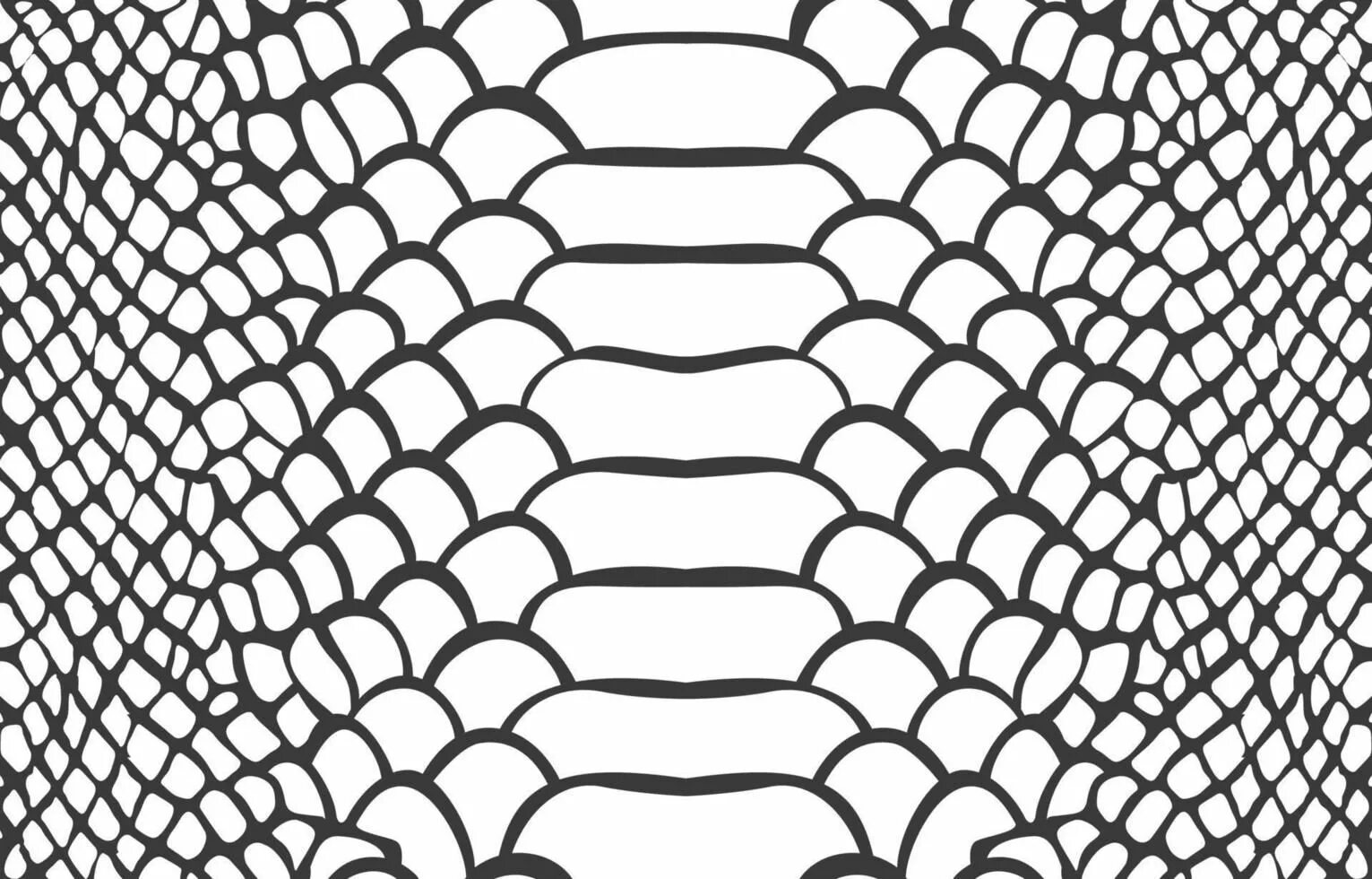 Snake pattern. Snake skin vector. snake scales. snake texture vector.