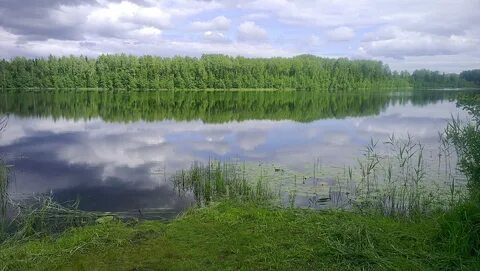 Погода в усвятье на 10 дней