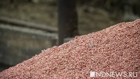 На трех складах 72 тонны пшеницы